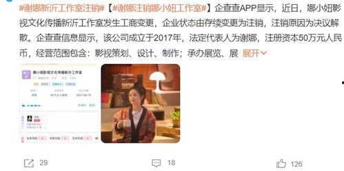 明星工作室是干嘛的,幕后力量如何塑造明星辉煌