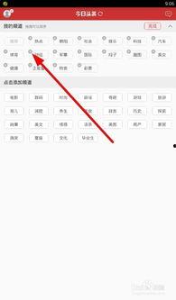 今日头条账号设置页面,轻松掌握个性化定制技巧】