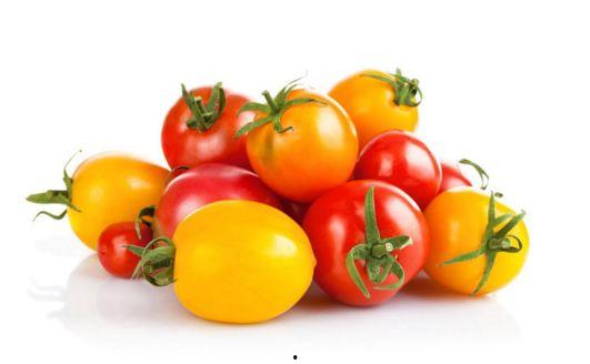 网红西红柿团队,打造网红新势力，引领潮流风向标