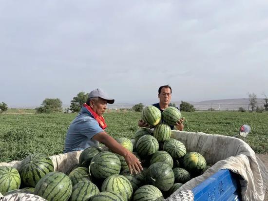 滑县最新吃瓜,揭秘当地热门事件背后的真相