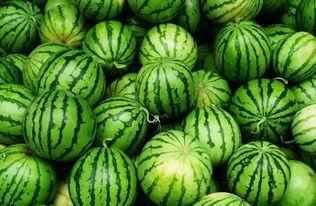 有瓜可以吃的群,揭秘有瓜可吃的群生活趣事