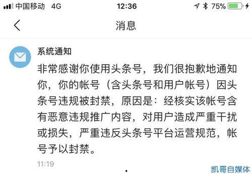 头条号被封可以申请几次,探索申诉技巧与策略