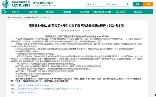 国网湖北张彩红去向,新篇章启航，助力能源发展新征程